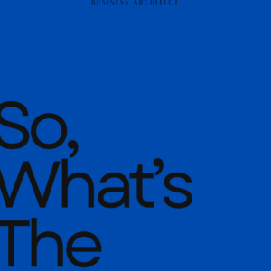 so, what's the plan...? (free business roadmap)